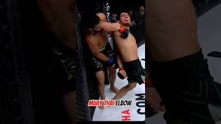 Muay Thai elbow blow muaythai mma martialarts [upl. by Amsa]