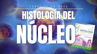 Núcleo Celular 🧫  Resumen Histología Ross 📚 [upl. by Eerej]