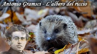 Antonio Gramsci  Lalbero del riccio  Audiolibro completo [upl. by Irabaj]