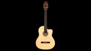 Acoustic Fender Guitar new Nikolay N Stanev [upl. by Magulac]