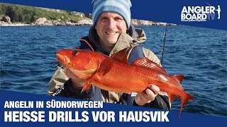 Angeln in Südnorwegen ‒ heiße Drills vor Hausvik Teil 1 ‒ Norwegen Dorschangeln und Pollack Montage [upl. by Solitta103]