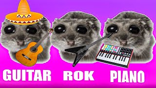 SAD HAMSTER on PIANO GUITAR ROCK [upl. by Nemaj767]