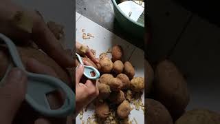 quotThe Most Efficient Way to Peel Potatoes for Beginners cookingtips kitchenhacks potatopeeling [upl. by Hsuk226]