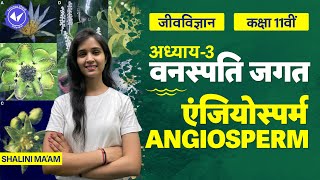 Angiosperm  Plant Kingdom  Class 11 Biology Chapter 3  Hindi Medium  Board Exam 2023 [upl. by Weaver]