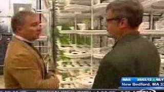 Jim Bouldin Looks at Vertical Farming at Paignton Zoo [upl. by Airbmak]