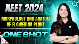 Morphology and Anatomy of Flowering Plants  One Shot  NEET 2024  Seep Pahuja [upl. by Assilam286]