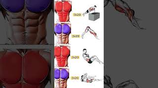 Upper chest  lower chest and middle chest workout at home push ups variation chest chestworkout [upl. by Enialehs]