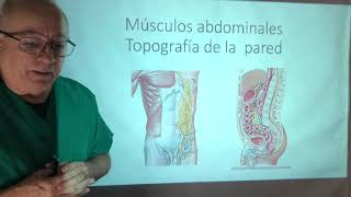 Músculos del abdomen Prensa abdominal maniobra de Valsalva [upl. by Azeret]