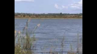 Kamuzu Dam in Kasungu Malawi [upl. by Rephotsirhc]