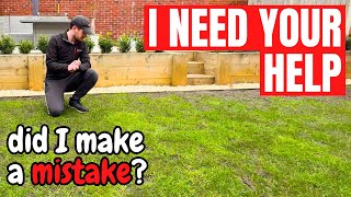 A very HONEST chat about the state of my LAWN  did I really make a MISTAKE [upl. by Lyons927]