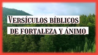 versículos bíblicos de fortaleza y ánimo para reflexionar 📖 [upl. by Gerkman900]