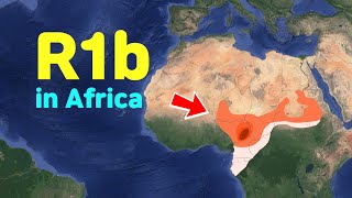 Are the people in Africas R1b EuropeanR1bV88 [upl. by Askwith]