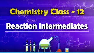 Reaction Intermediates  Chemical Kinetics  Chemistry Class 12 [upl. by Milla]