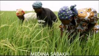 Jal Jali Medina Sabakh Ngoyane Sénégal [upl. by Eleaffar908]