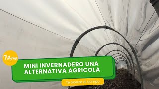 Mini invernadero una alternativa agricola  TvAgro por Juan Gonzalo Angel Restrepo [upl. by Ylim]