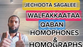 Jechoota sagalee tokko qaban Jechoota barreeffamaan walfakkaatanHomophones amp Homographs [upl. by Erna700]