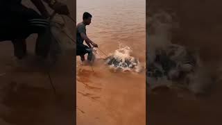 Very big fish catching video shootduet fishingtechniques catlaser trendingsong fisherman fishi [upl. by Rakabuba495]