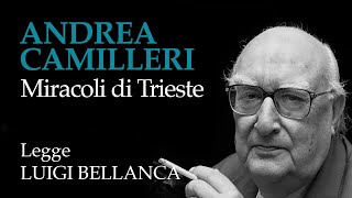 Andrea Camilleri  Miracoli di Trieste  11° racconto da “Un mese con Montalbanoquot [upl. by Anerac626]