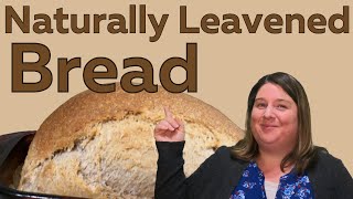 How To Make Naturally Leavened Bread [upl. by Aerdnu]