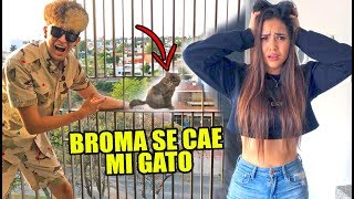 BROMA A MI NOVIA QUE SE CAE EL GATO DEL EDIFICIO [upl. by Haniraz271]