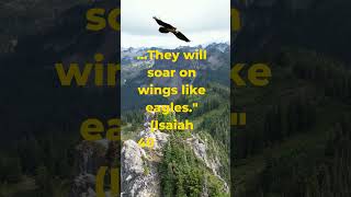 Hope and Renewal Faith Hope Isaiah4031 BibleVerse Encouragement SpiritualStrength TrustInGod [upl. by Glyn]