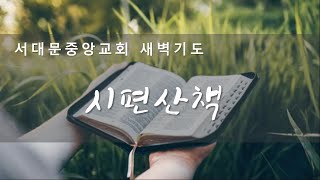 서대문중앙교회 2024년 11월 5일 새벽기도회 시편산책13 [upl. by Deland901]