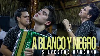 A Blanco y Negro  Silvestre Dangond Ruben Lanao En Vivo [upl. by Sumaes542]