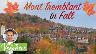 Our trip to Mont Tremblant during the fall  Beautiful fall colors [upl. by Eicyac30]