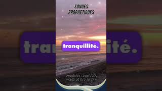 SONGES PROPHETIQUES partie 2 songeadwitiyayoutubechannel motivation music [upl. by Cassius]