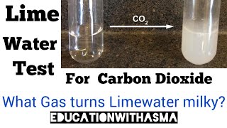 Limewater Test for Carbon Dioxidewhat is lime waterdeduction of carbon dioxide carbon dioxide [upl. by Elay89]