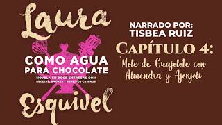 Como agua para chocolate AUDIOLIBRO Capitulo 4 Mole de guajolote con almendra y ajonjolí [upl. by Aubrette27]