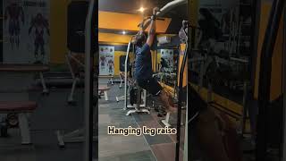 Hanging leg raise gym ytshorts abs [upl. by Florie]