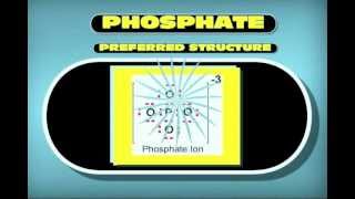 LEWIS STRUCTURES OF POLYATOMIC IONS BY MR B [upl. by Azarria624]