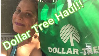 Dollar Tree Haul 🛍️ July 29 2024 [upl. by Jezrdna777]