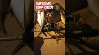 daiwa revros fishing mancingmania Min1Rek [upl. by Divadnoj]