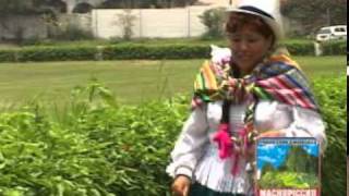 ROSITA DEL CUSCO  CARNAVAL CUSQUEÑO [upl. by Ebby]