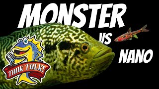 Monster Fish Vs Nano Fish A Fierce Debate [upl. by Tallie195]