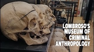 Lombrosos Museum of Criminal Anthropology [upl. by Conley790]