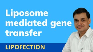 Liposome mediated gene transfer  Liposomal transfection  Lipofection [upl. by Jasik]