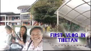 First vlog in Tibetan ☘️🌺tibetanvloger tibetan [upl. by Flori603]