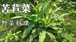 教你去除野菜的苦味，去苦的野菜簡直油切聖品 How to eliminate field sowthisles bitter taste [upl. by Leiba]