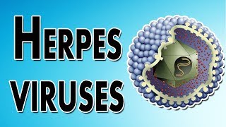 Herpes Symptoms Treatment and Causes [upl. by Melessa718]