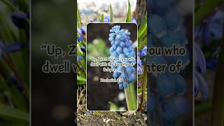 Zechariah 27 ytshorts bible biblestudy quotes christ motivation meditation inspiration [upl. by Nrublim]