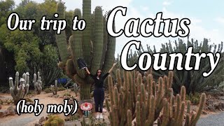 Our trip to Cactus Country [upl. by Ahsotan]