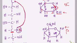 Carbohydrate Chemistry  Anomers and the Anomeric Carbon Part 1 [upl. by Ayanat38]