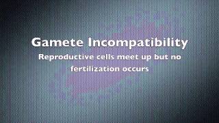 Pre and Post Zygotic Barriers [upl. by Biamonte]