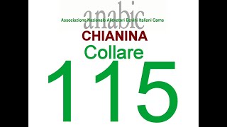 CHIANINA  COLLARE 115 IT050990046355 [upl. by Lorilyn]