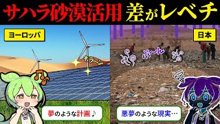 「なんてことだ…」日本人がサハラ砂漠にゴミを撒いた結果、異変が・・・【ずんだもん＆ゆっくり解説】 [upl. by Verras]