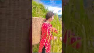 Atta Ullah Khan Niazi  Sad Song  S A Studio [upl. by Emmalee73]