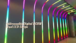 Addressable Digital RGB RGBW Pixel LED Strips [upl. by Nnaeus]